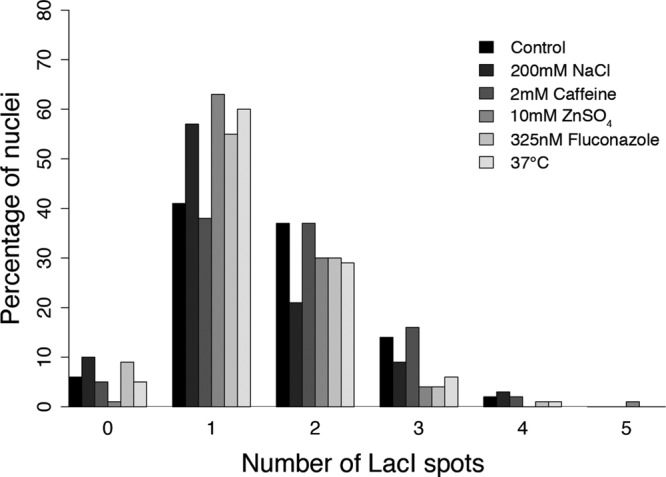 FIGURE 7: