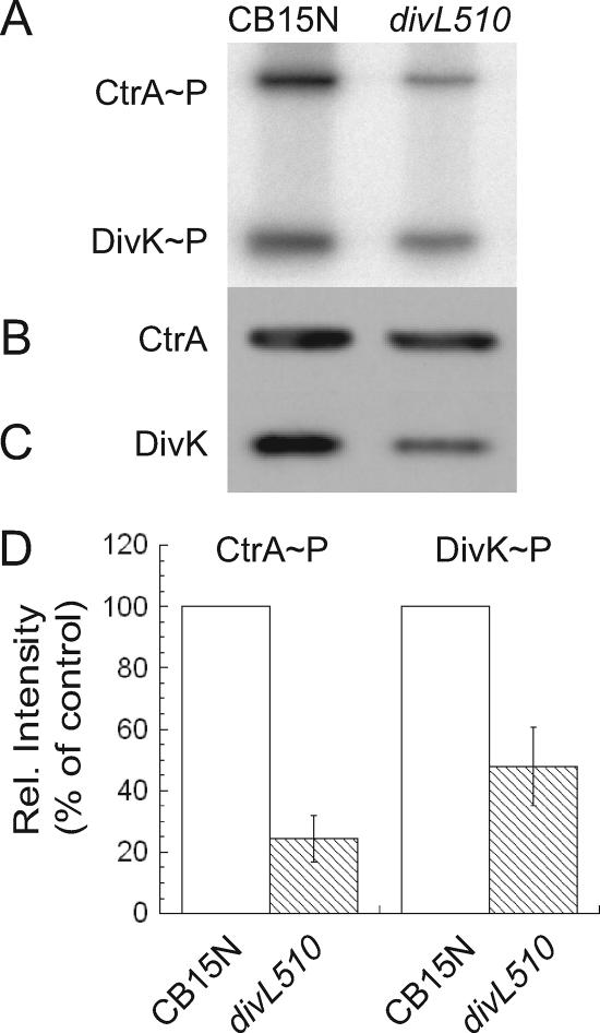 FIG. 5.