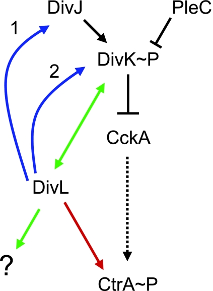 FIG. 7.