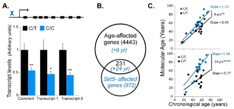 Fig. 11