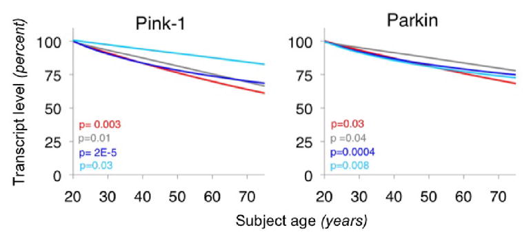 Fig. 10