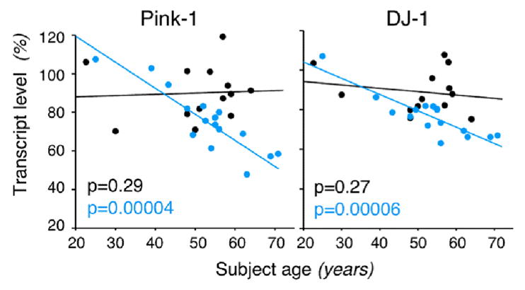 Fig. 12