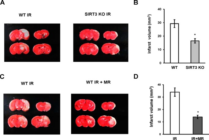 FIGURE 10.