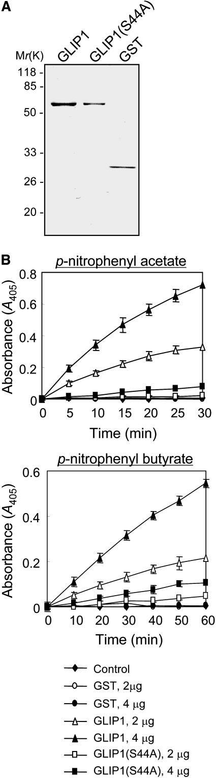 Figure 7.