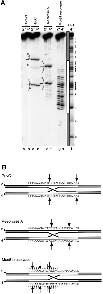 graphic file with name cdf554f3.jpg