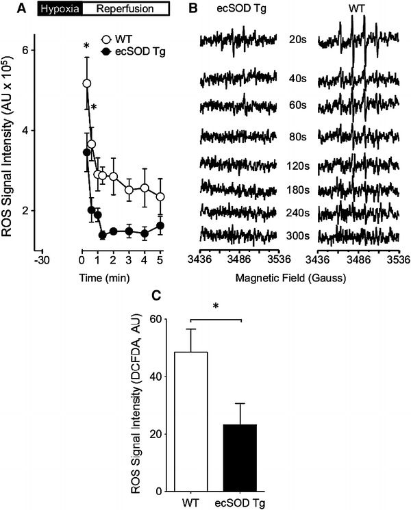 Fig. 4