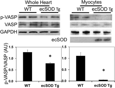 Fig. 7