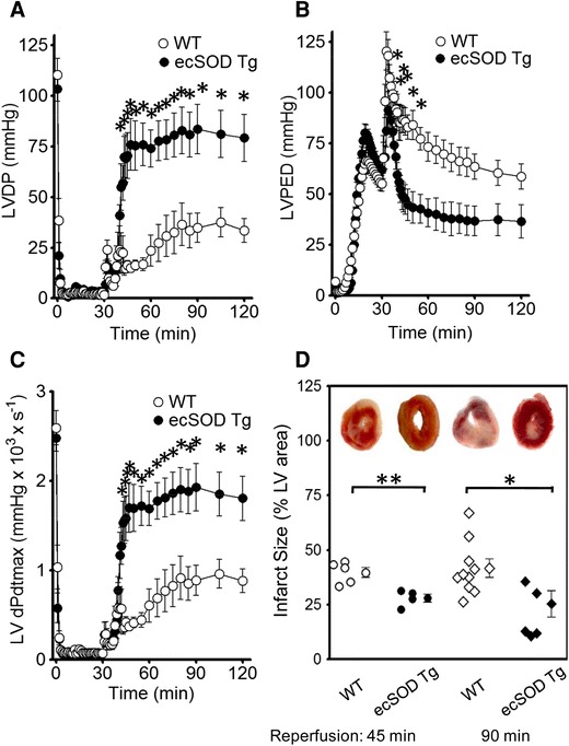 Fig. 2