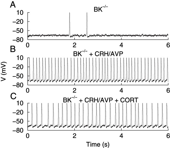 Figure 5.