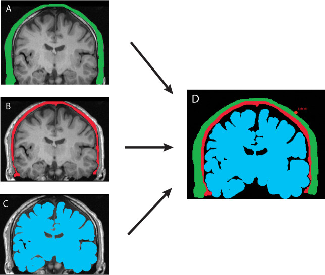 Appendix 1—figure 2.