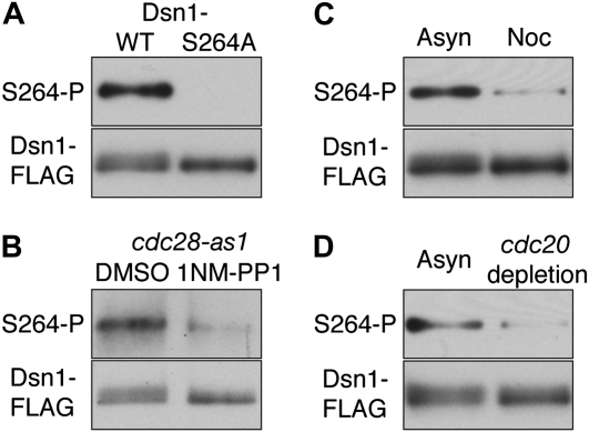 Figure 2.—