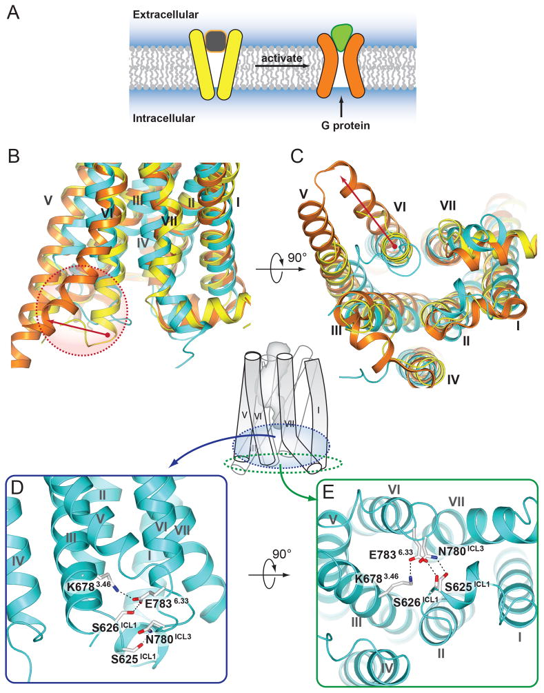 Fig. 4