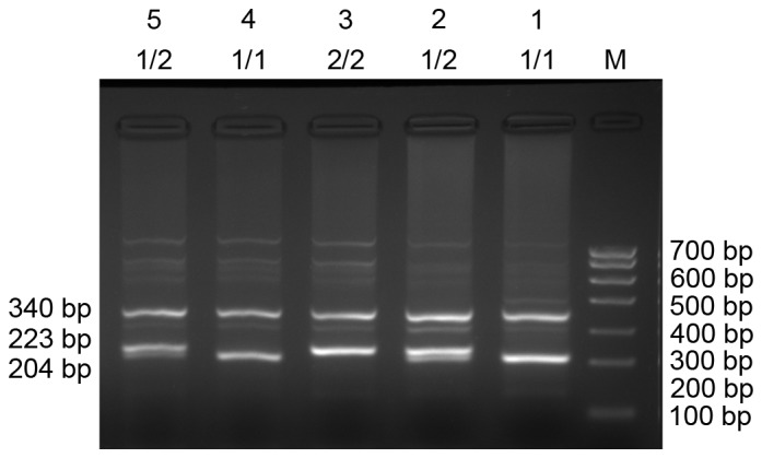 Figure 1.