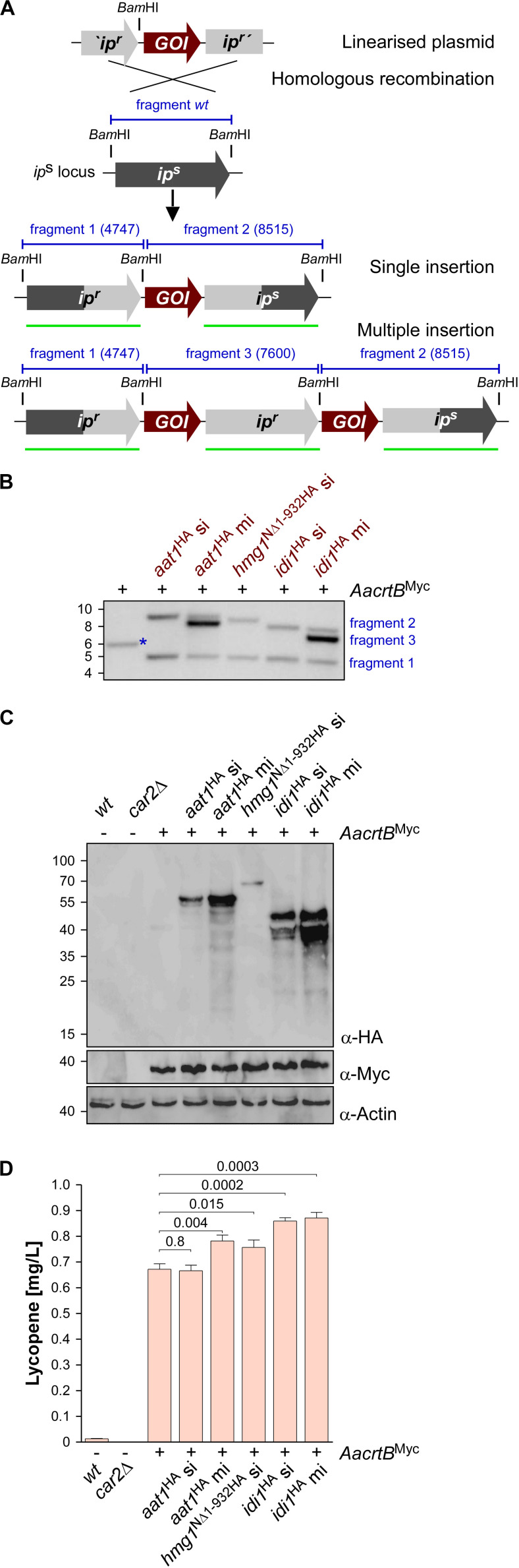 FIGURE 3