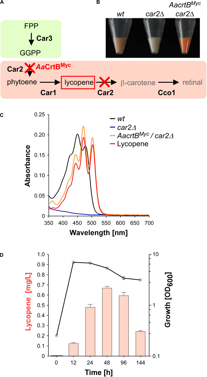 FIGURE 2