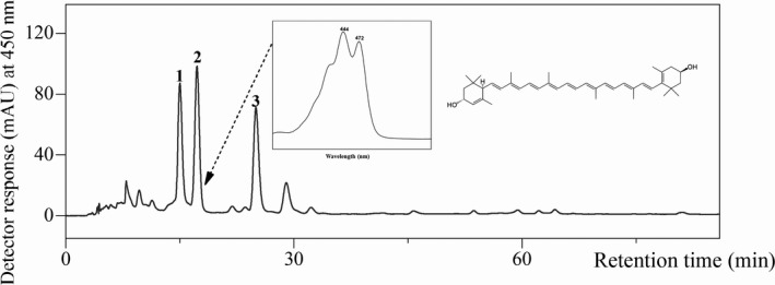 FIGURE 2