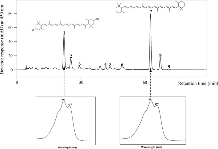 FIGURE 1