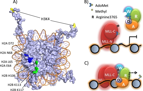 FIGURE 7.