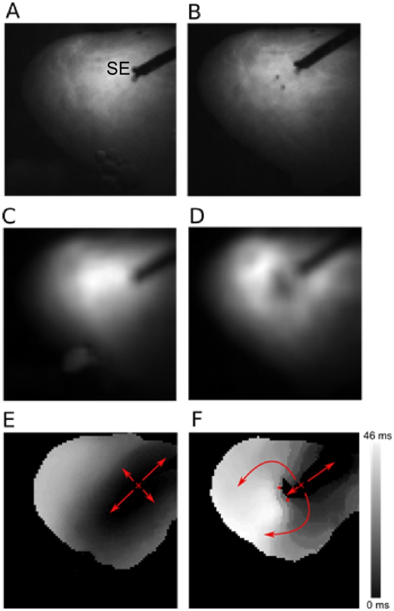 Fig 3