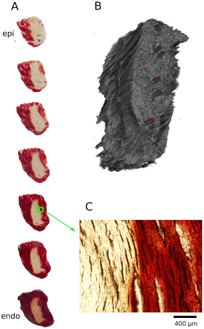 Fig 8