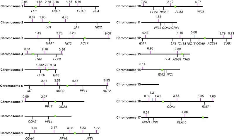 Figure 5.