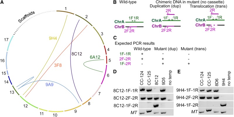 Figure 3.