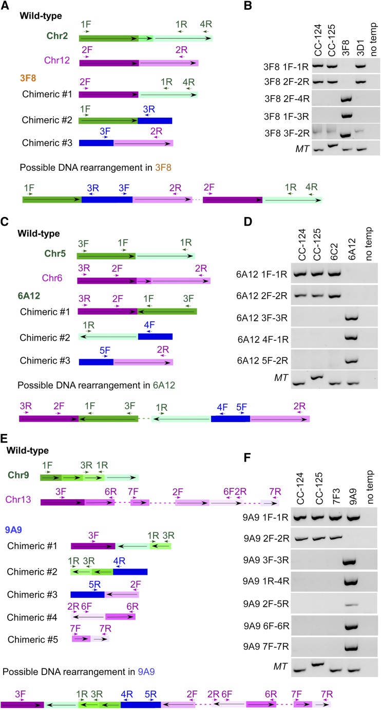 Figure 4.