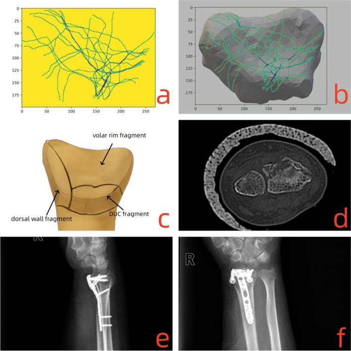 Fig. 8