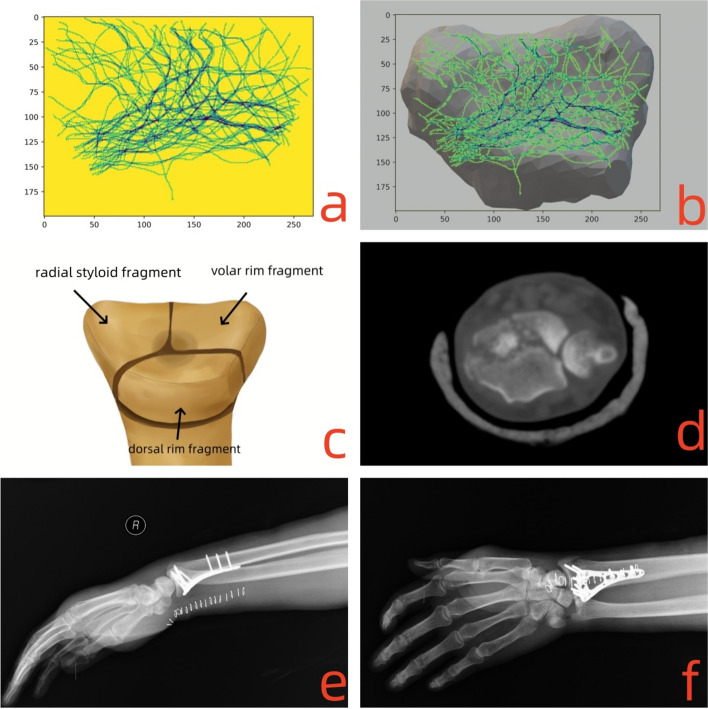 Fig. 7