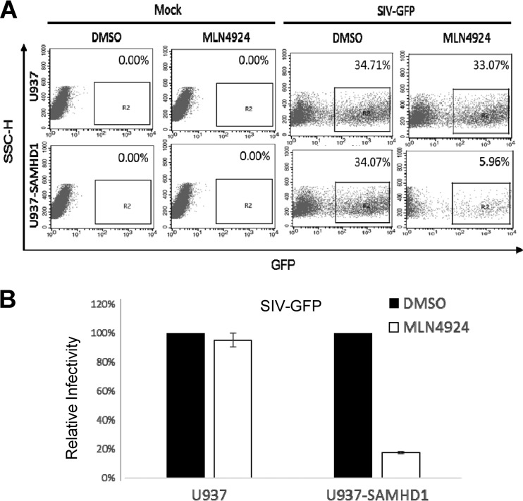 FIG 3