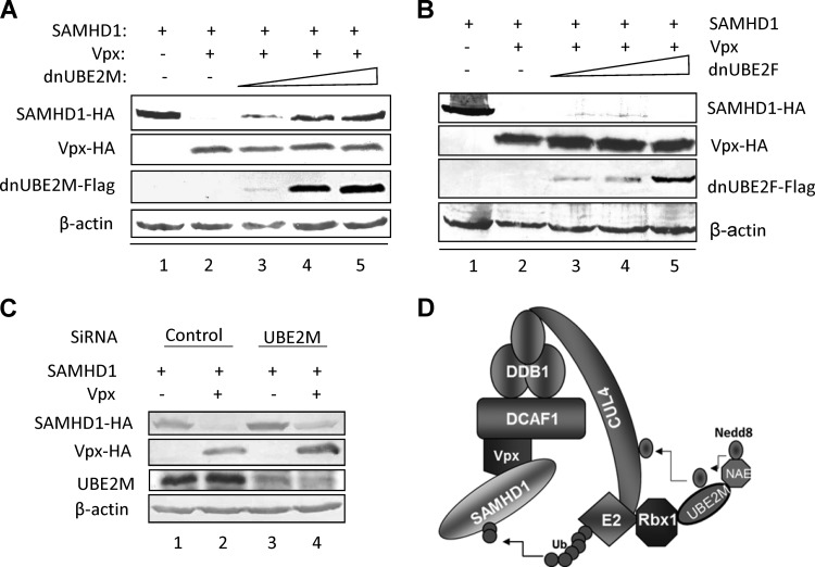 FIG 5