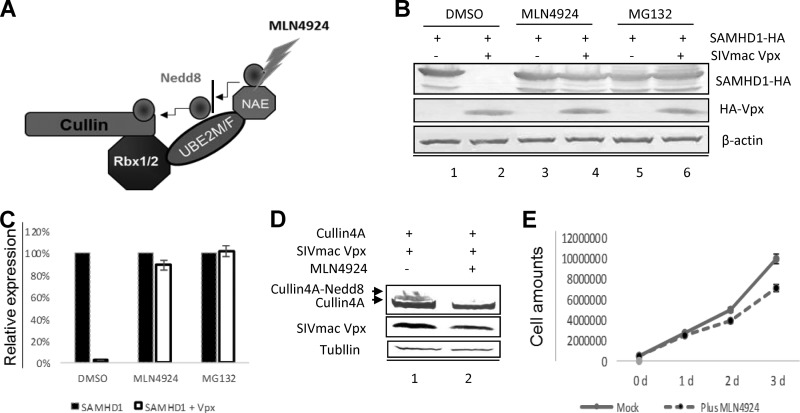 FIG 1