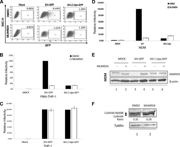 FIG 2