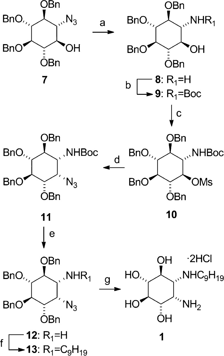 Scheme 1