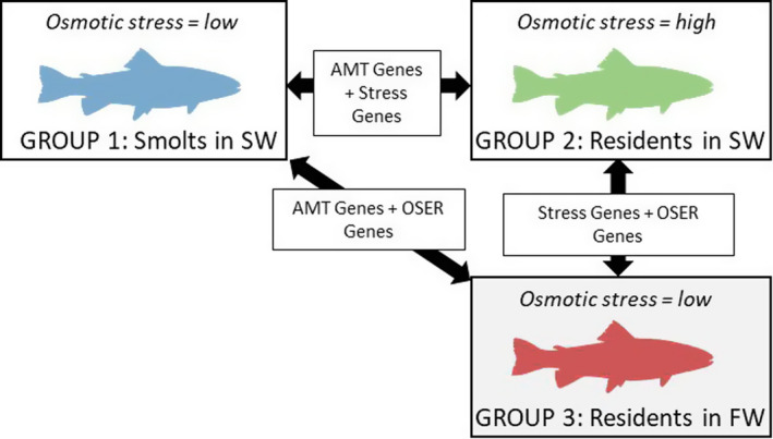 FIGURE 1