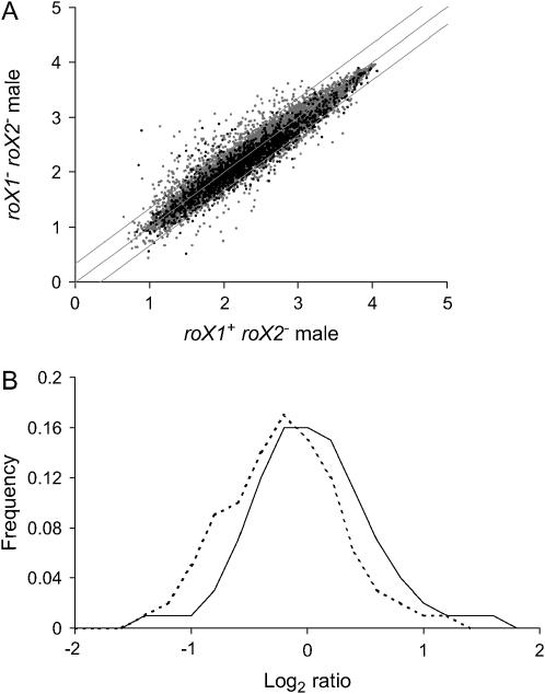 Figure 2.—