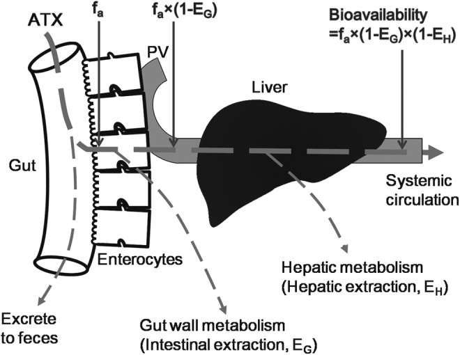 FIG. 2.