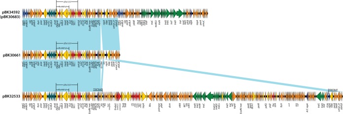 FIG 3