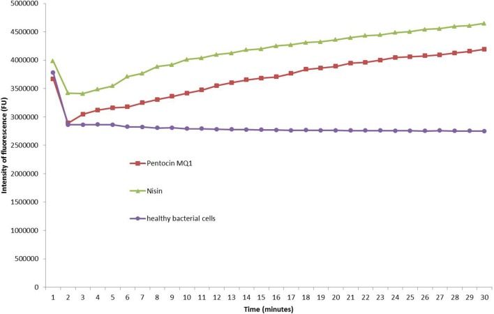 Figure 4