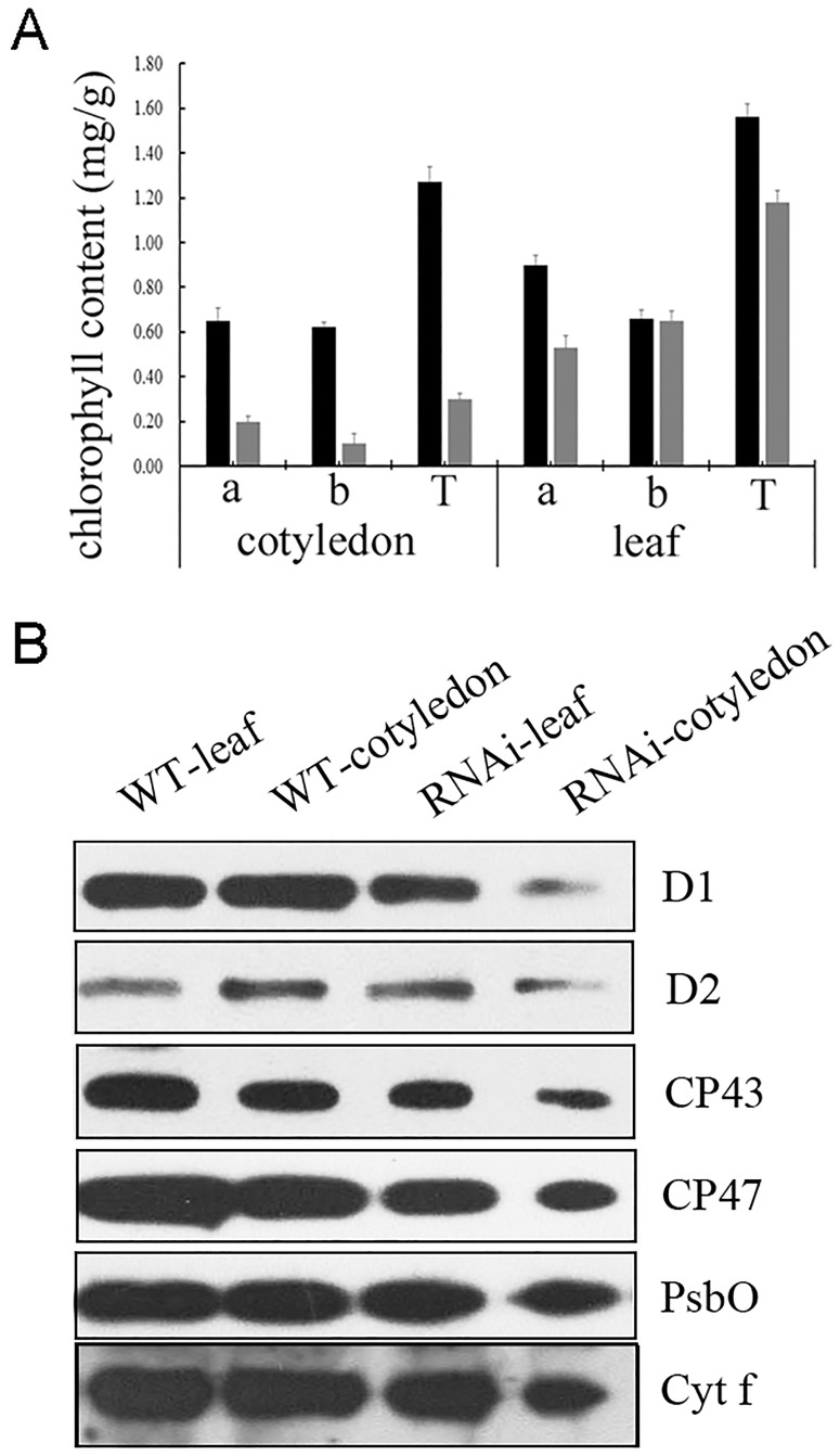 Fig 7