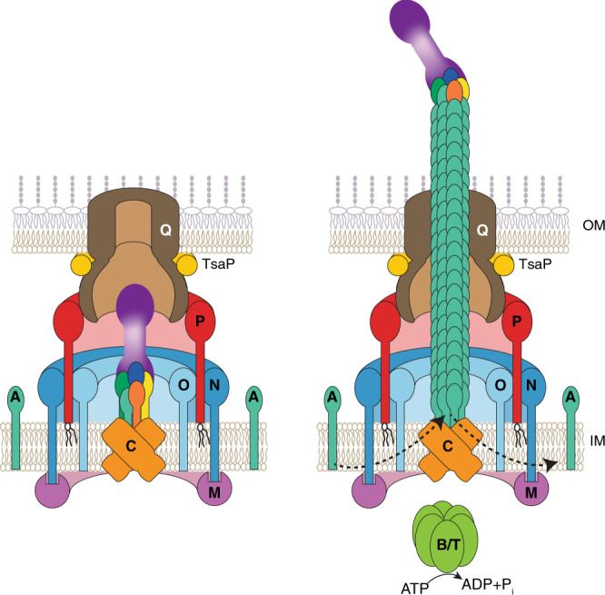 Fig. 6