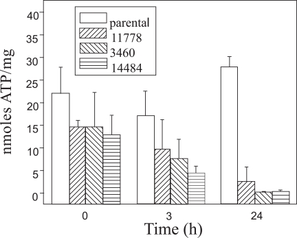 Fig. (1)