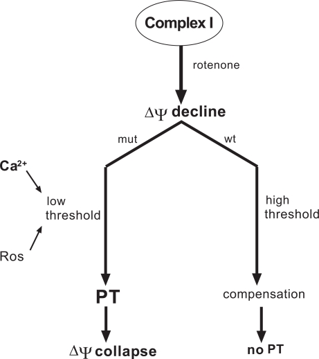 Fig. (3)