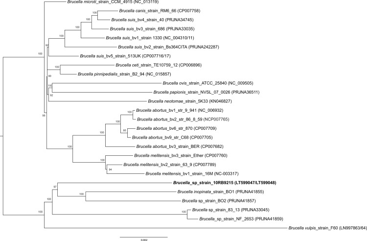 Fig 2