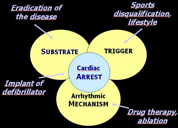 Figure 19