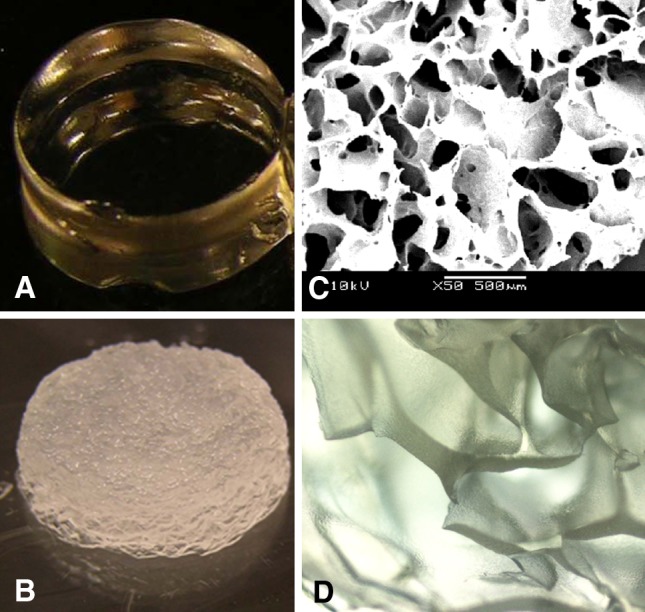 Fig. 3A–D