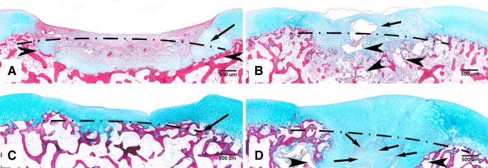 Fig. 6A–D