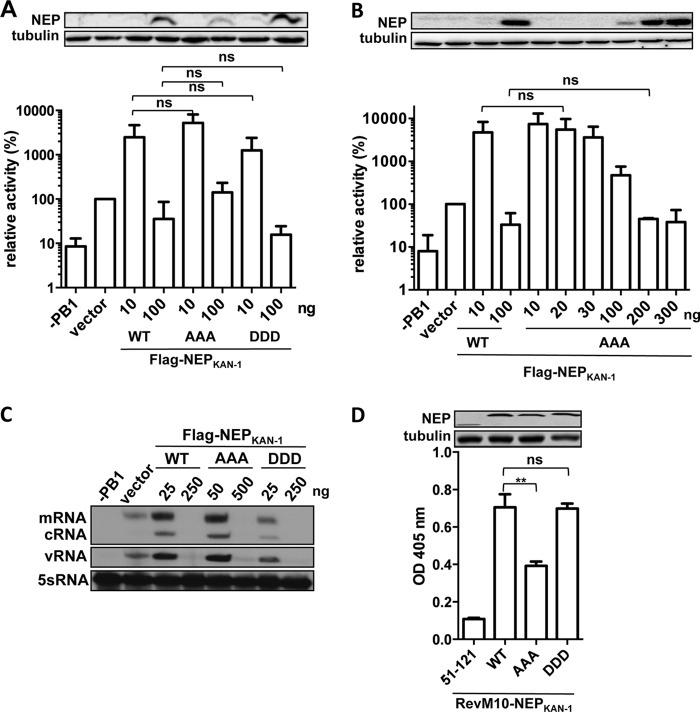 FIG 3