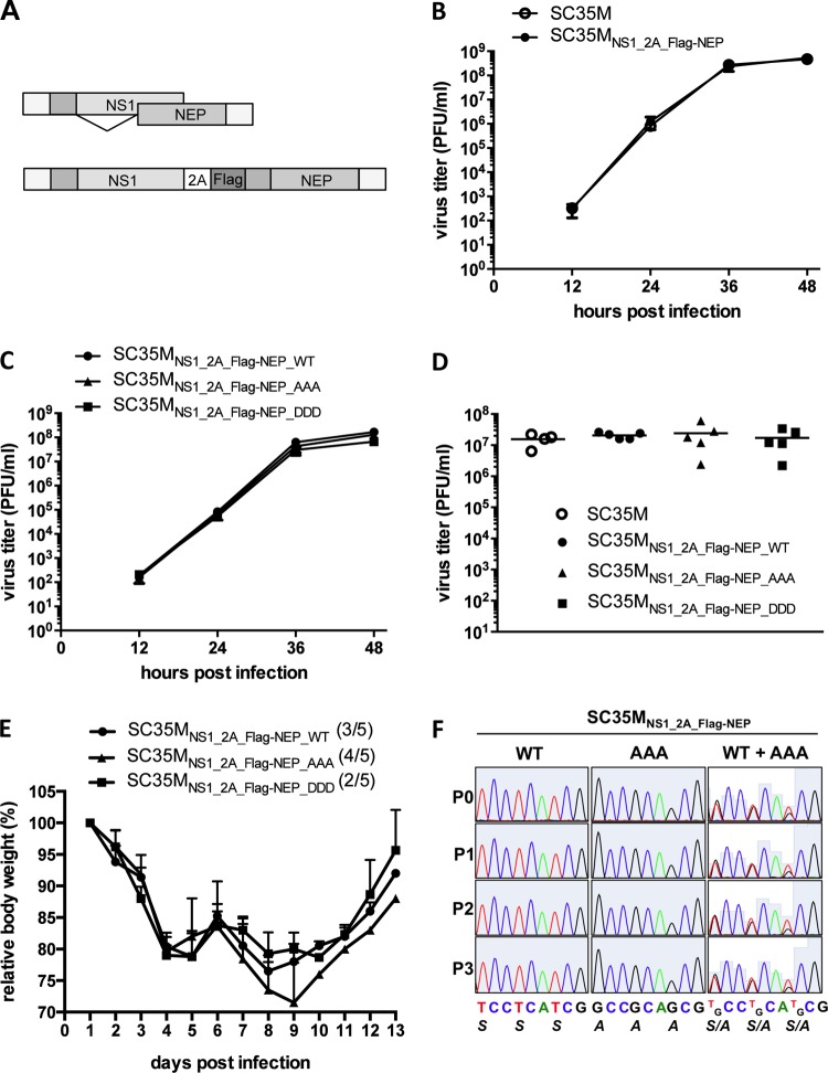 FIG 2