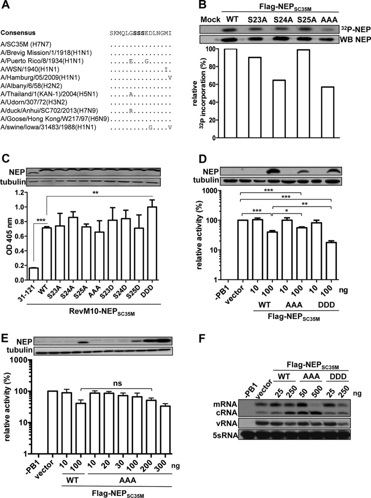 FIG 1